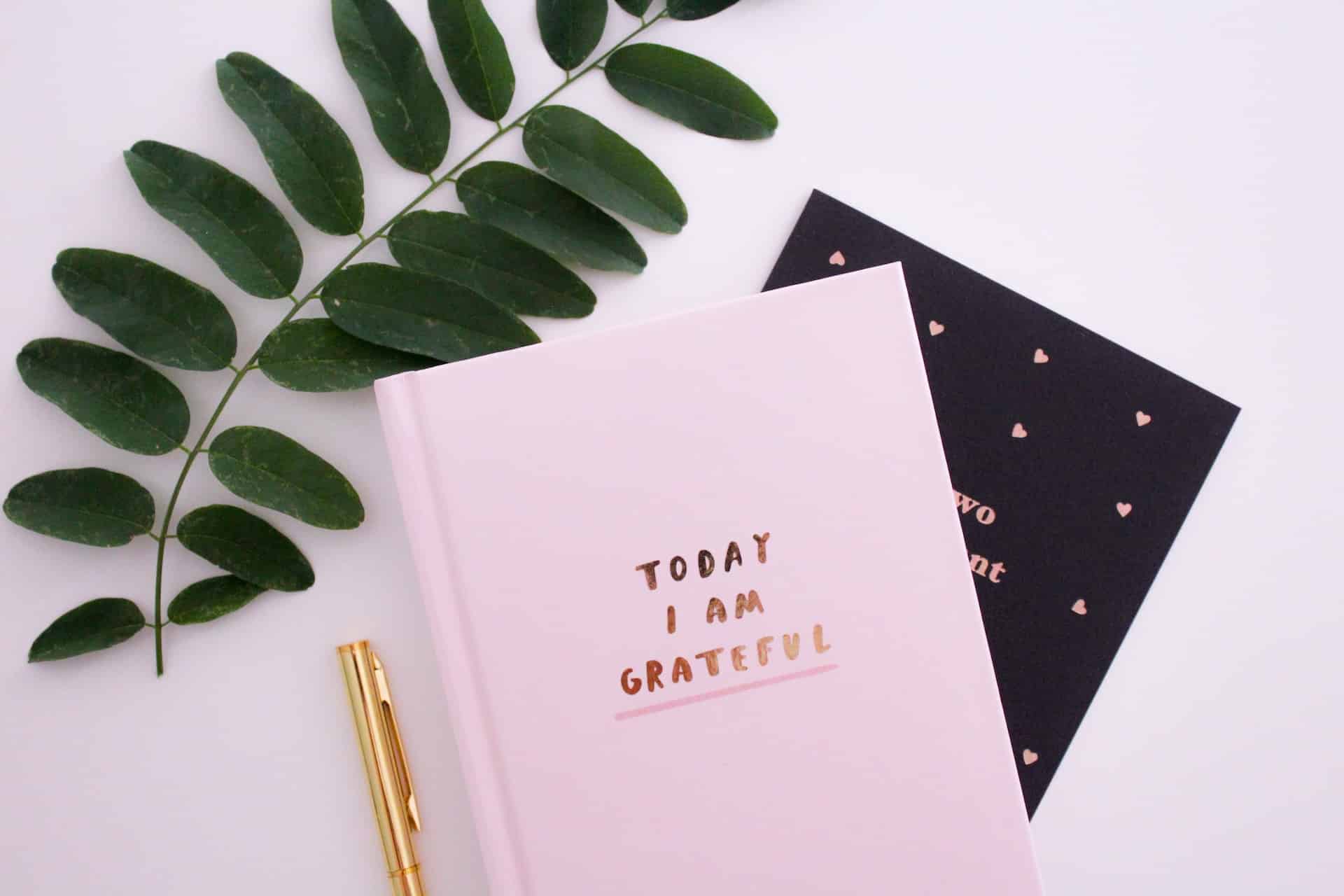 Journal de gratitude